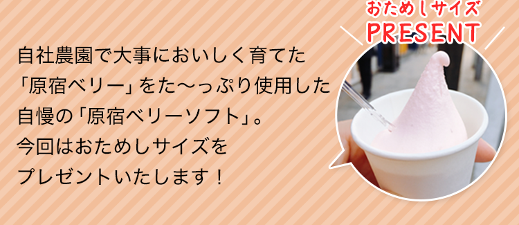 自社農園で大事においしく育てた「原宿ベリー」をた～っぷり使用した自慢の「原宿ベリーソフト」。今回はおためしサイズをプレゼントいたします！
