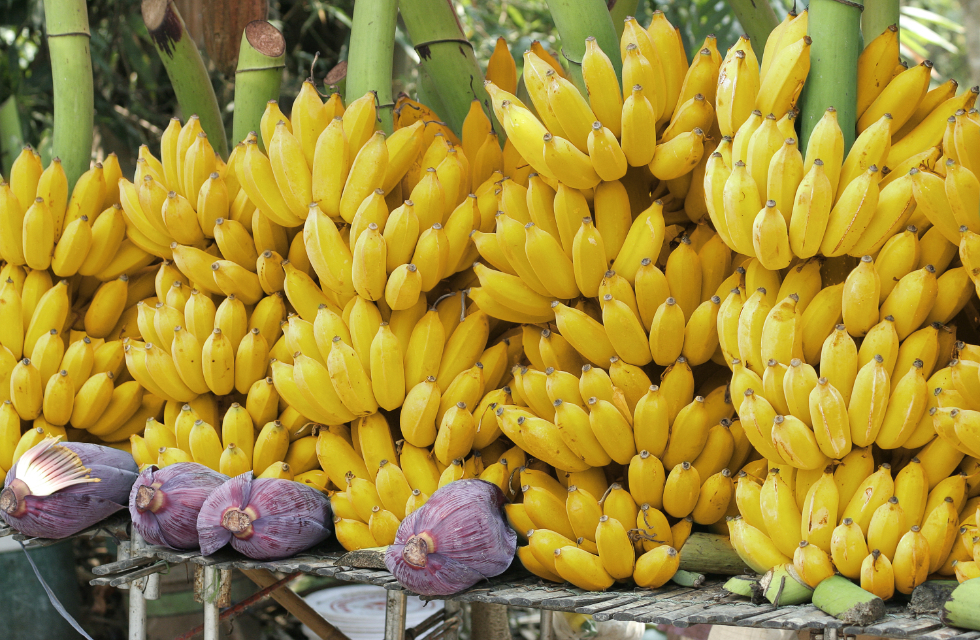 8/7「バナナの日」にエクアドル大使館とのスペシャルコラボイベントを開催します